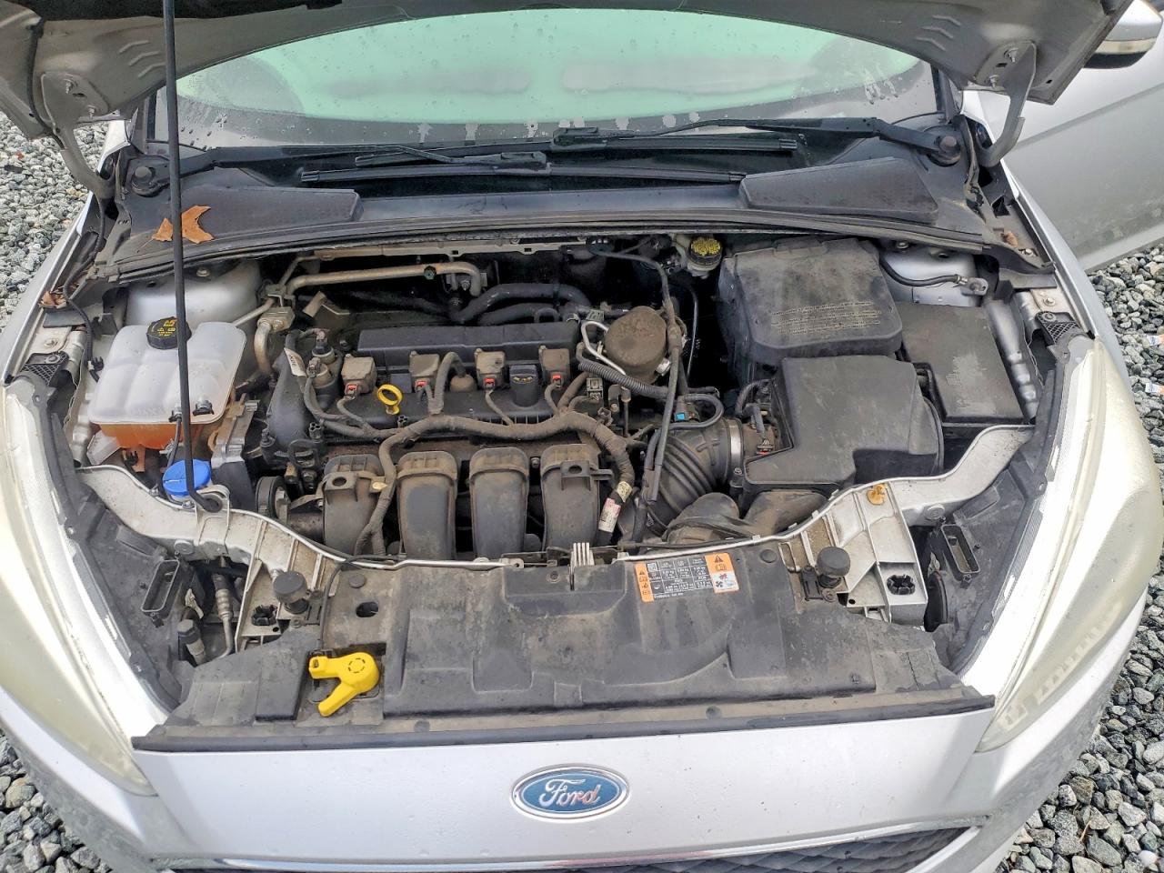 2015 FORD FOCUS SE photo 11