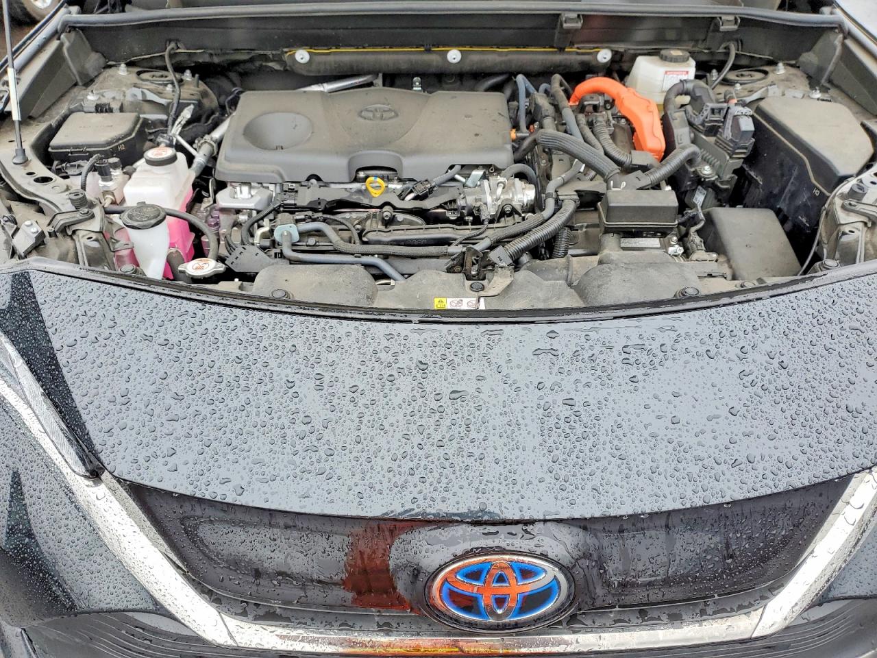 2024 TOYOTA VENZA NIGHTSHADE EDITION photo 21