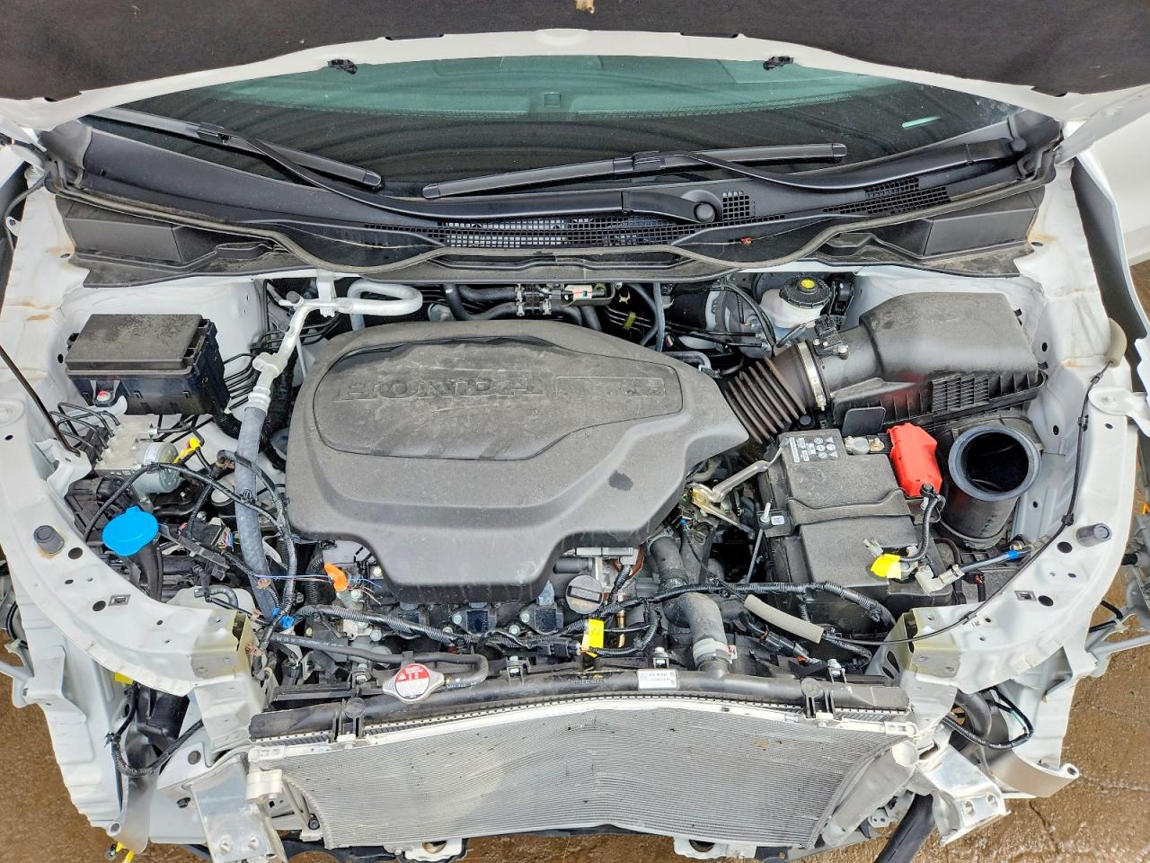 2025 HONDA ODYSSEY SPORT-L photo 23