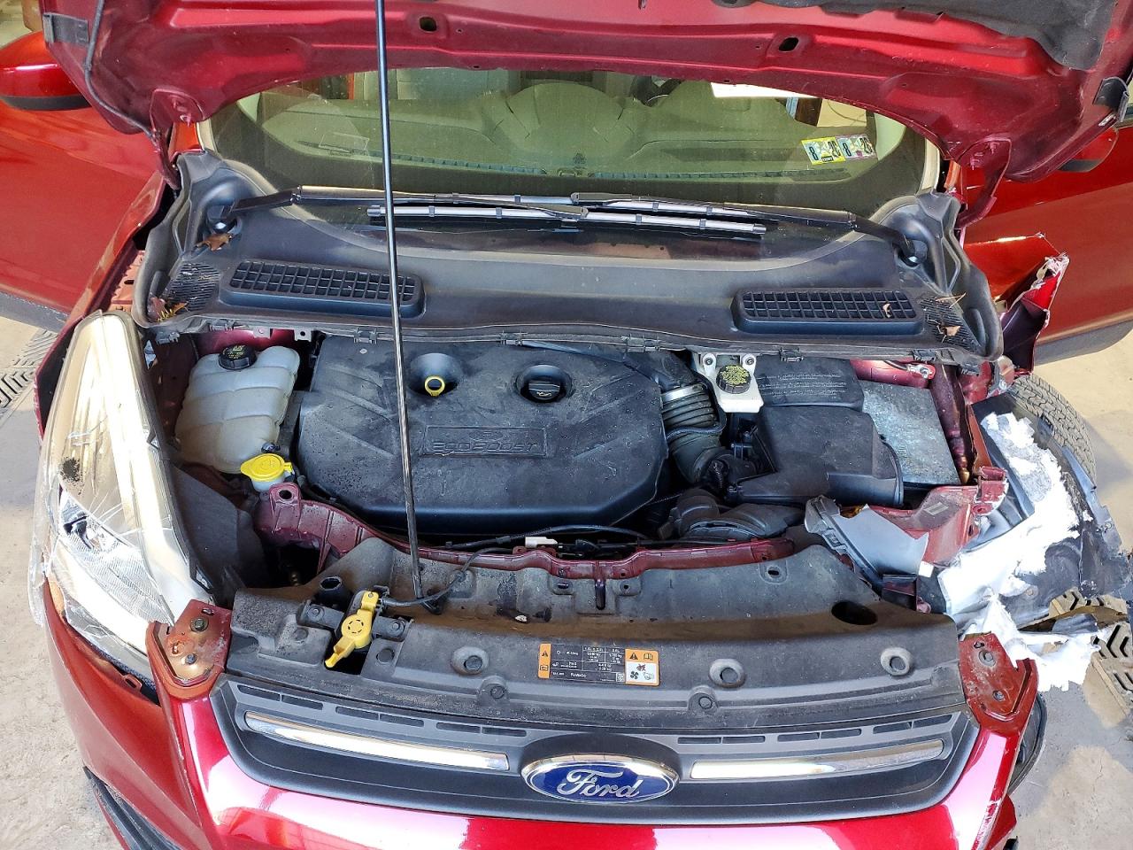 2014 FORD ESCAPE SE photo 12