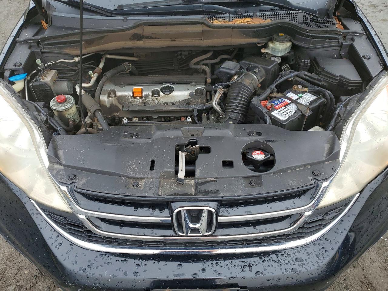 2010 HONDA CR-V EXL photo 12