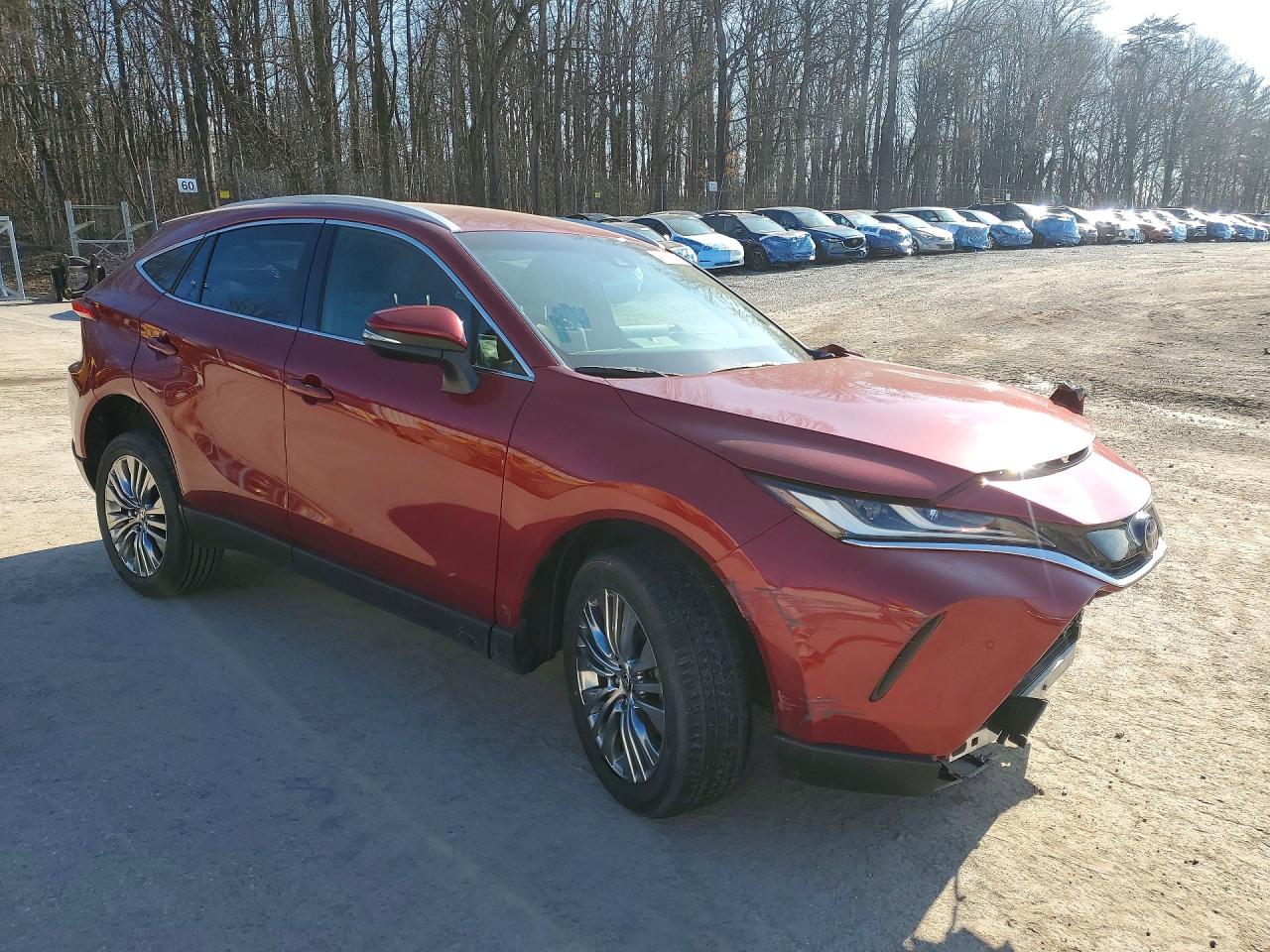 2022 TOYOTA VENZA XLE photo 4