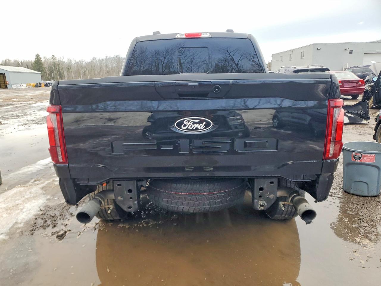 2024 FORD F150 LARIAT photo 6