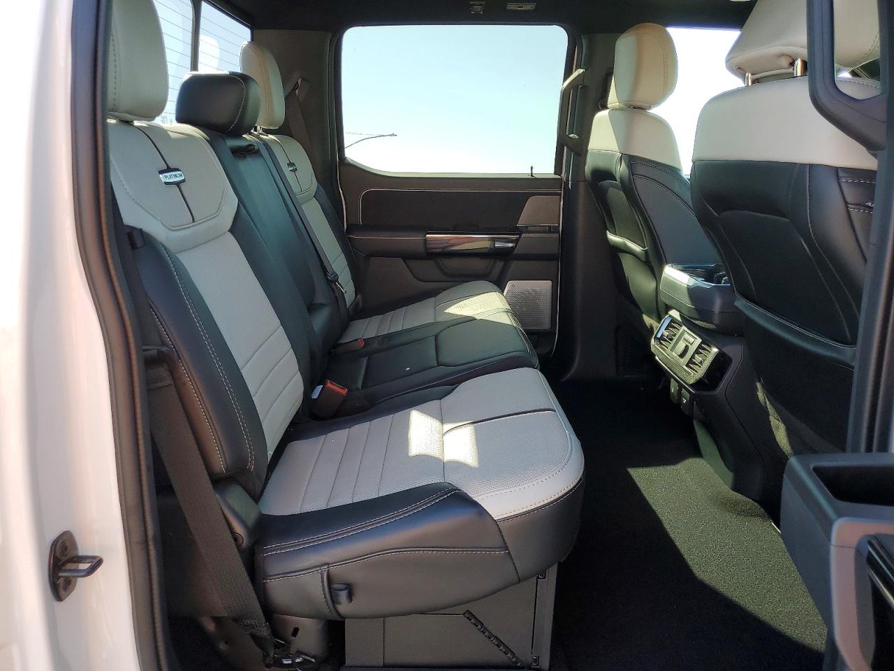 2023 FORD F150 LIGHTNING PRO photo 19