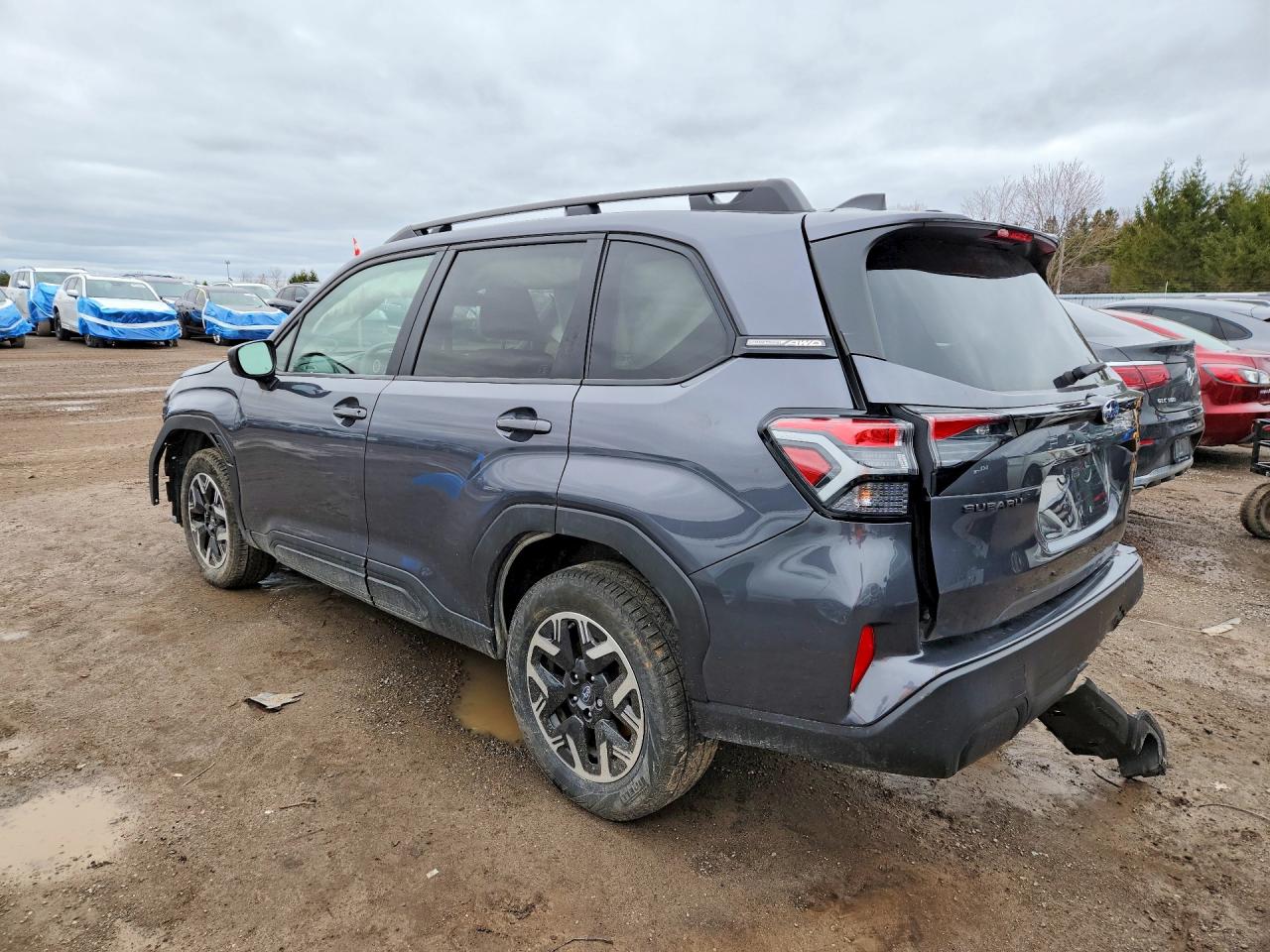 2025 SUBARU FORESTER photo 4