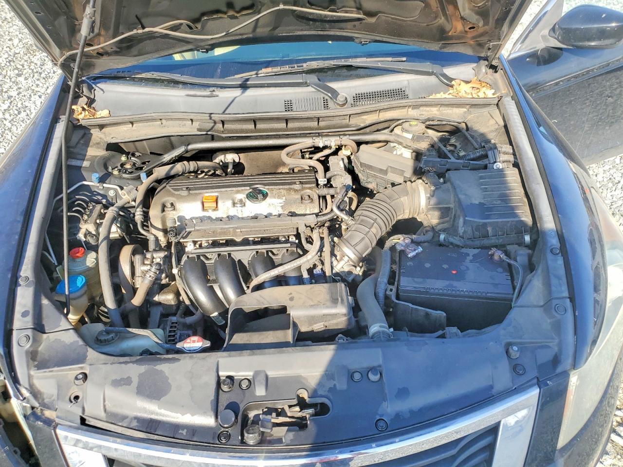 2010 HONDA ACCORD EXL photo 11