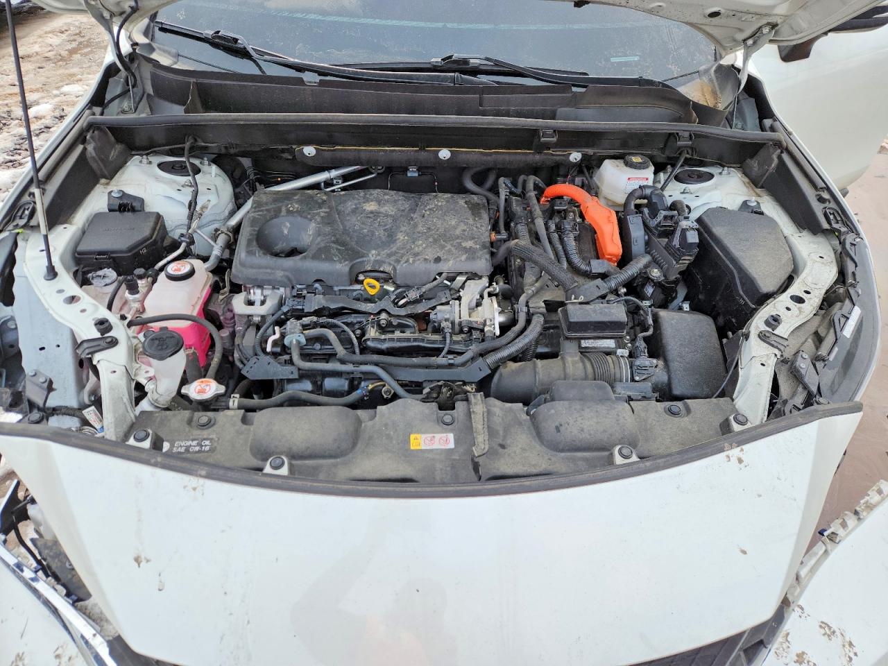 2022 TOYOTA VENZA XLE photo 12
