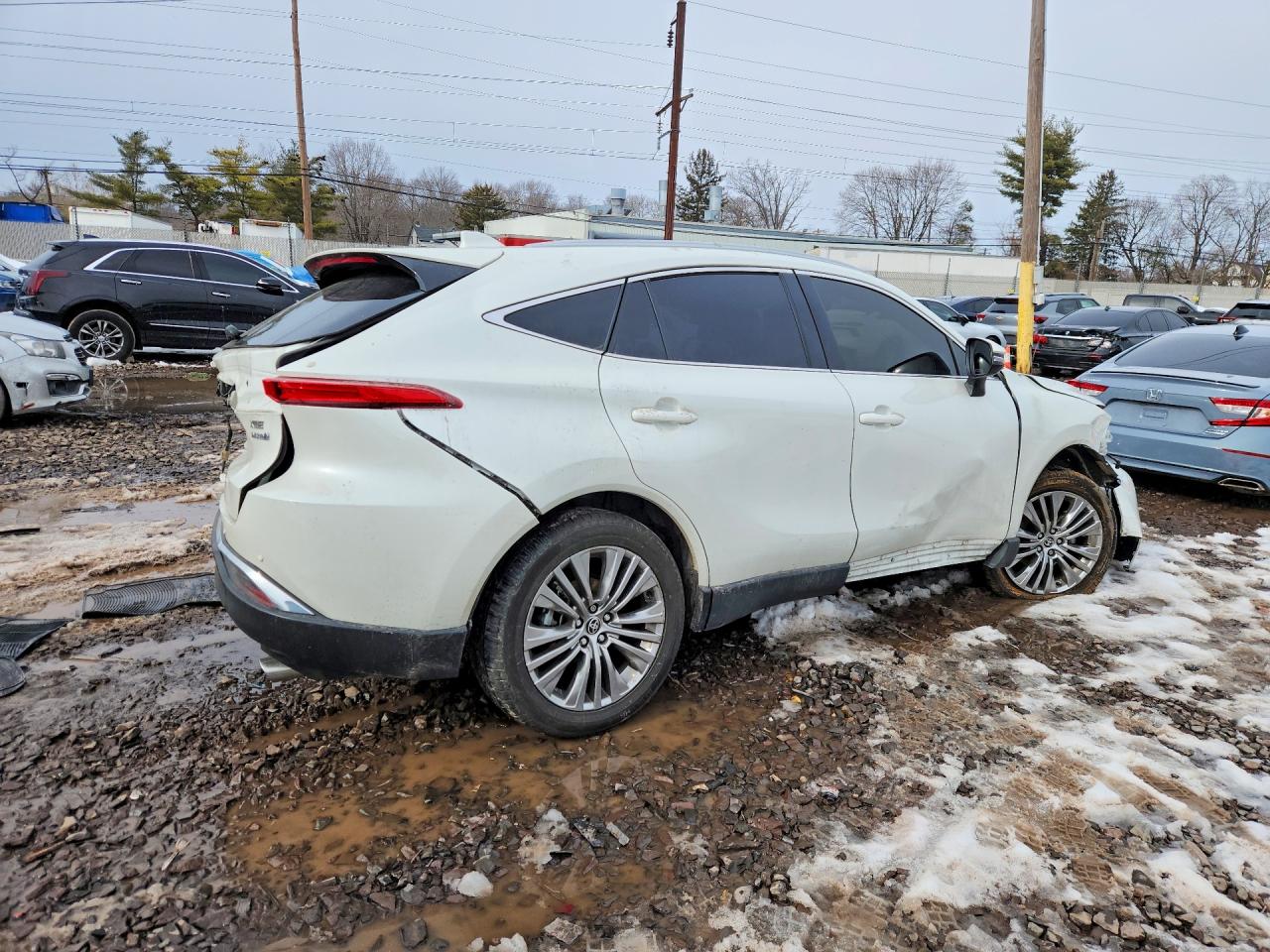 2022 TOYOTA VENZA XLE photo 3