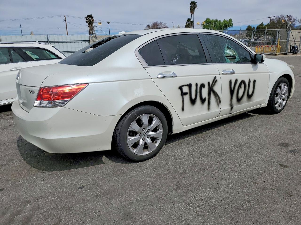 2010 HONDA ACCORD EXL photo 3