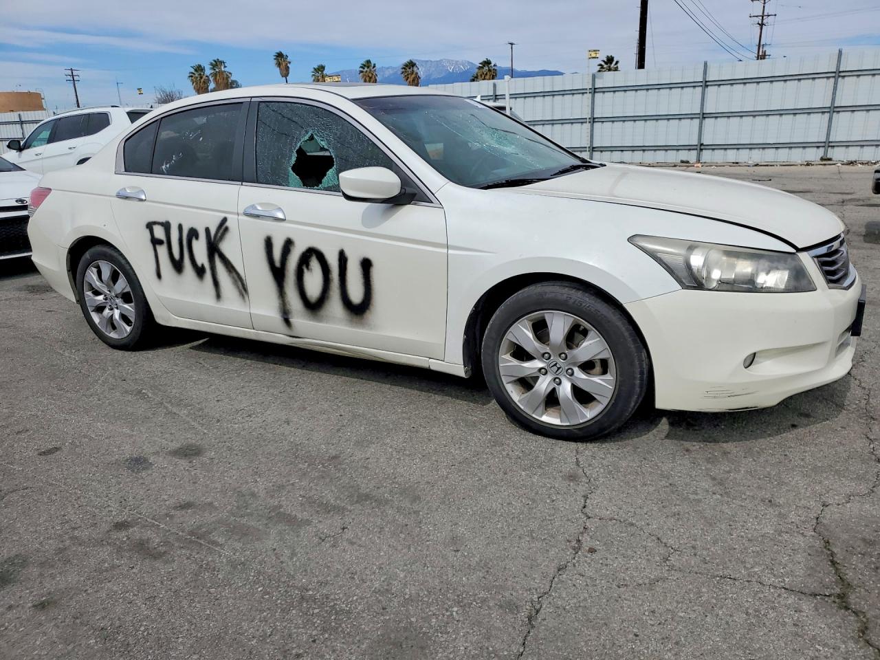 2010 HONDA ACCORD EXL photo 4