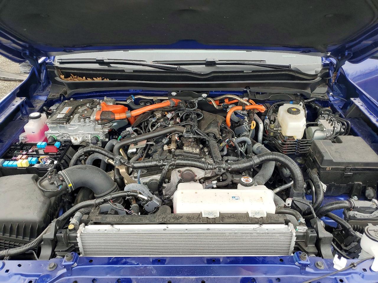 2025 TOYOTA TACOMA LIMITED HV photo 12