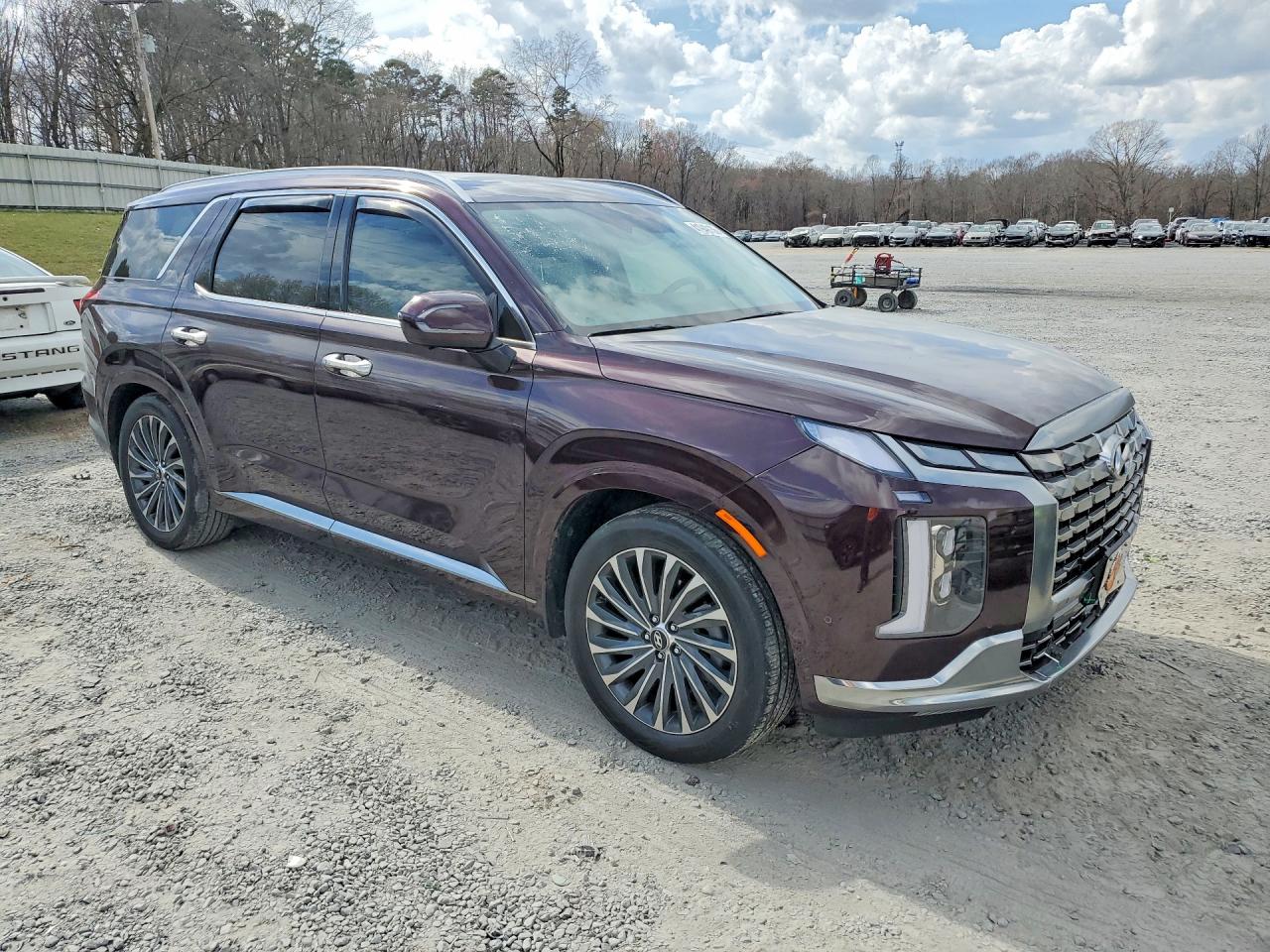 2024 HYUNDAI PALISADE CALLIGRAPHY photo 7