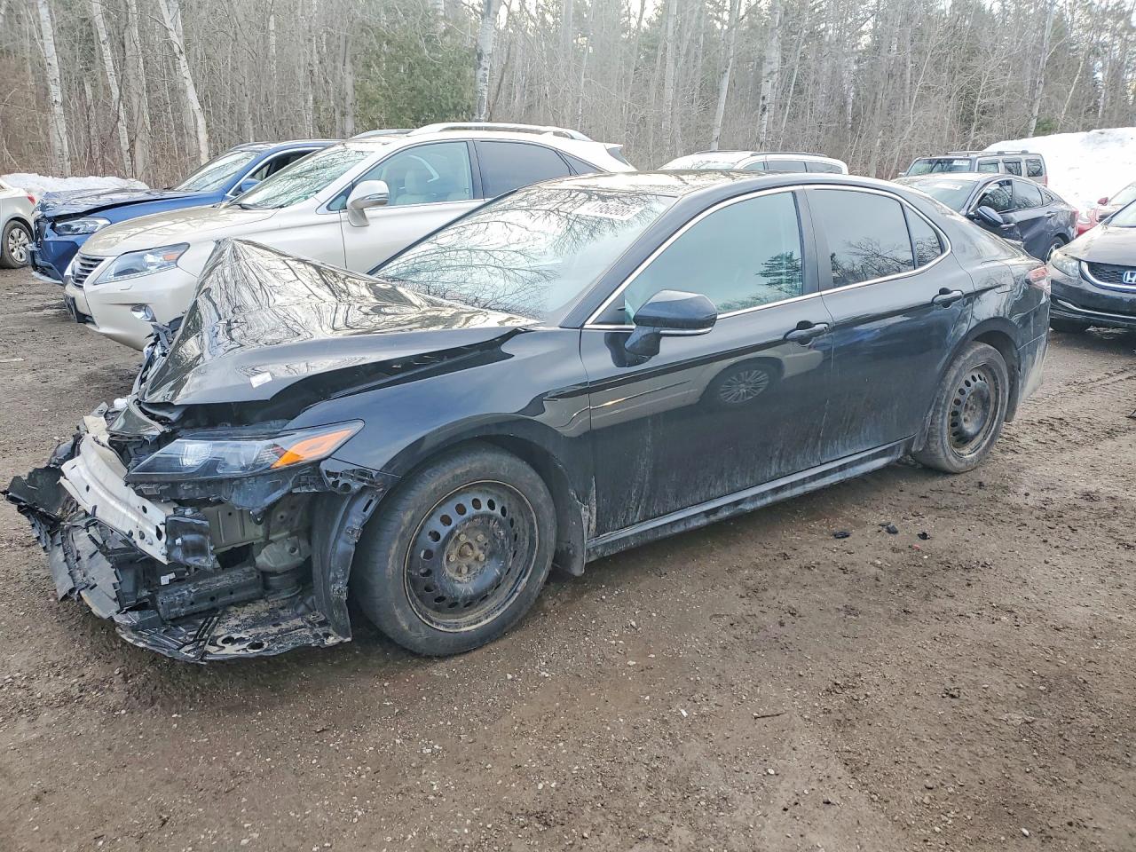 2022 TOYOTA CAMRY