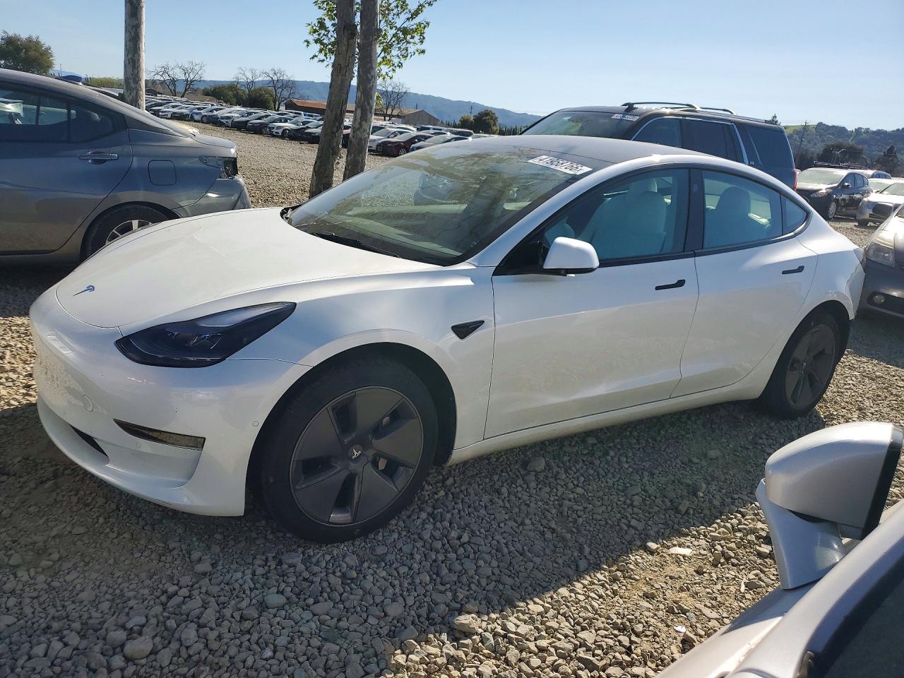 2022 TESLA MODEL 3 photo 2