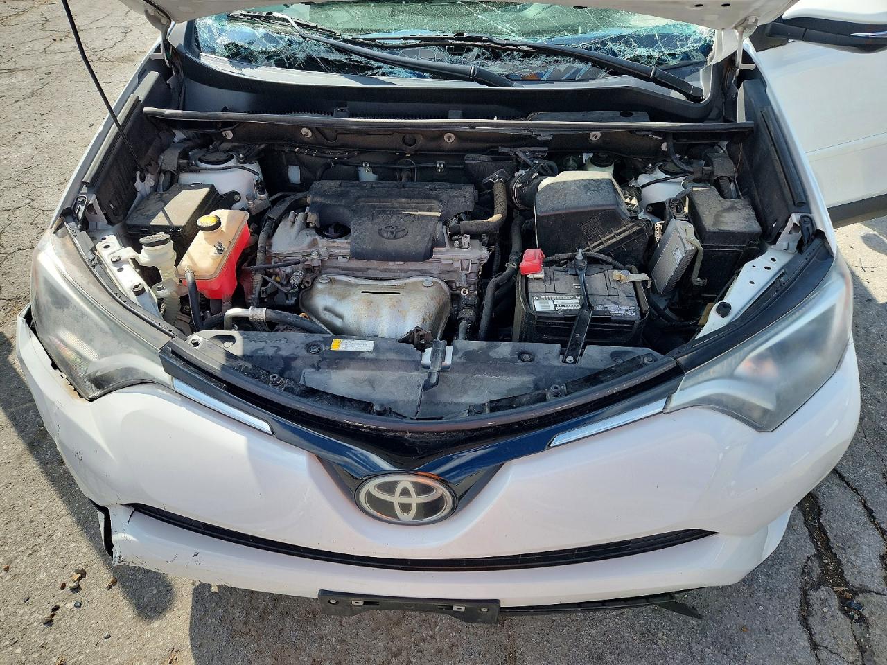 2018 TOYOTA RAV4 XLE photo 23