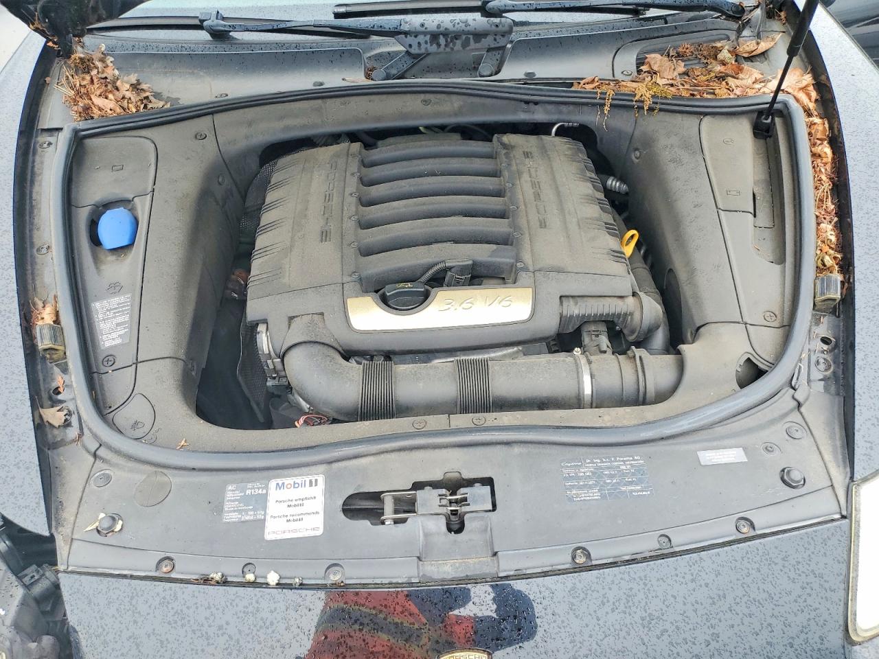 2009 PORSCHE CAYENNE photo 11