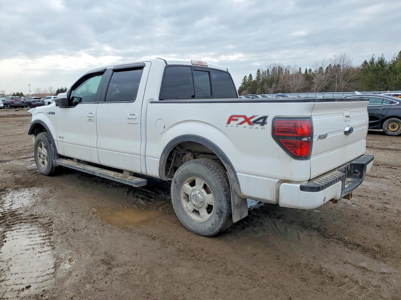 2014 FORD F150 SUPERCREW photo 3