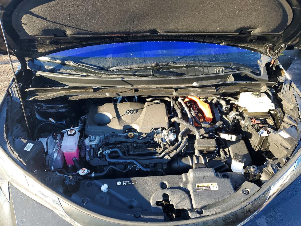 2025 TOYOTA SIENNA XLE 7-PASSENGER photo 23