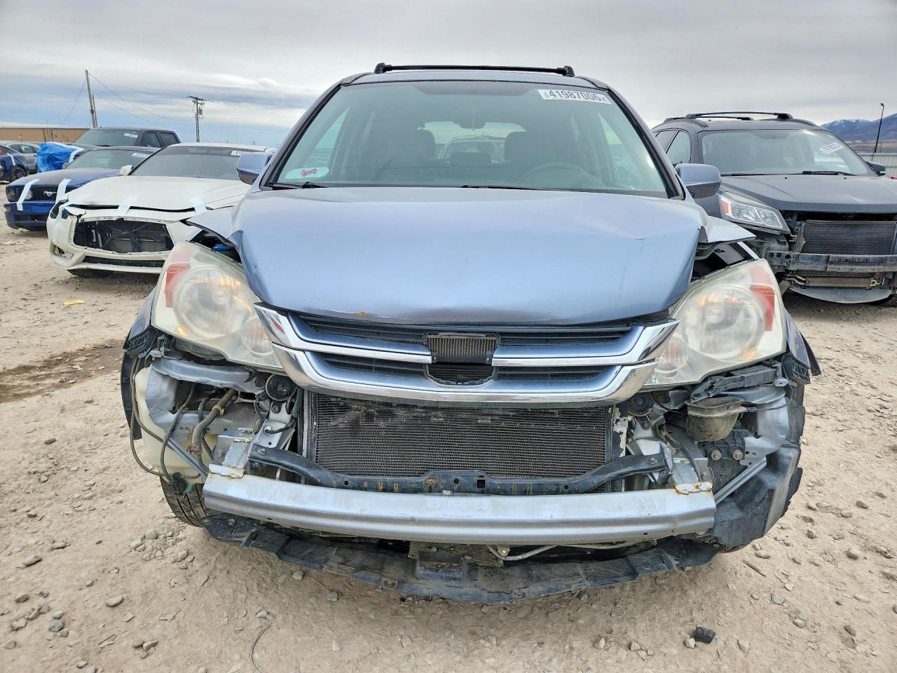 2010 HONDA CR-V EXL photo 5
