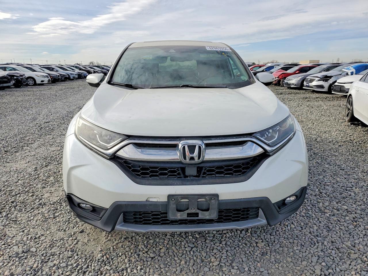 2017 HONDA CR-V EXL photo 10
