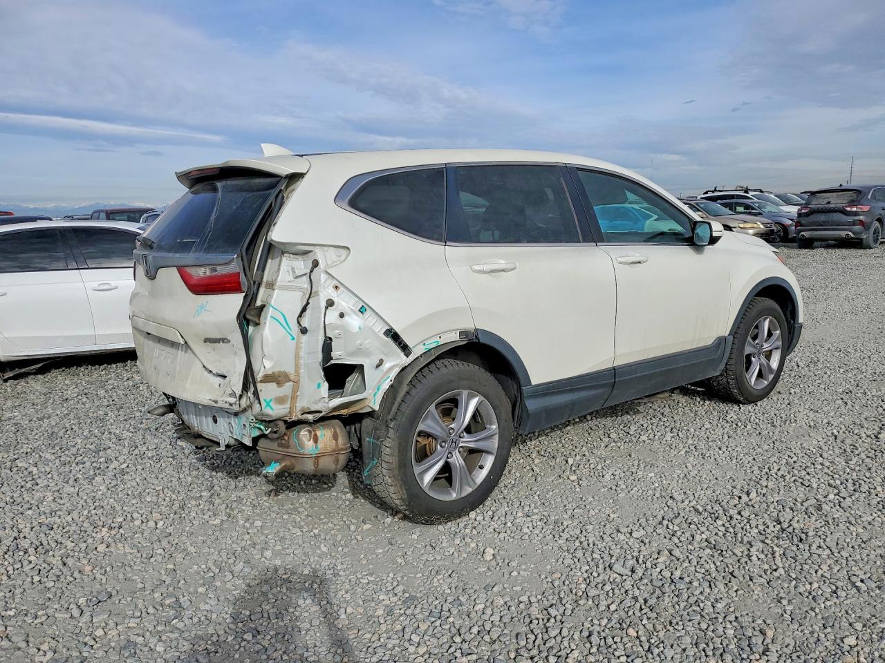 2017 HONDA CR-V EXL photo 6