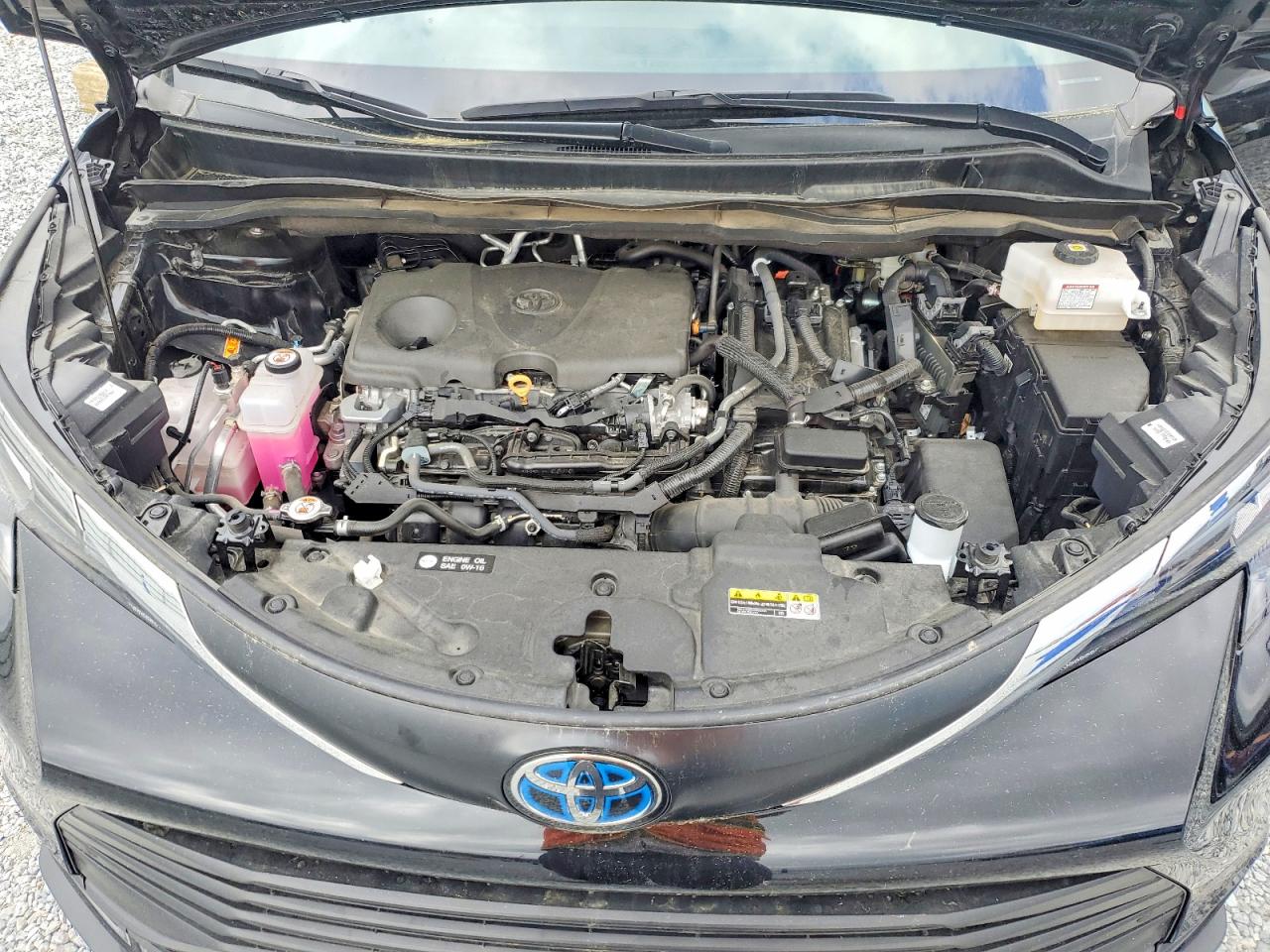 2025 TOYOTA SIENNA XLE 8-PASSENGER photo 23