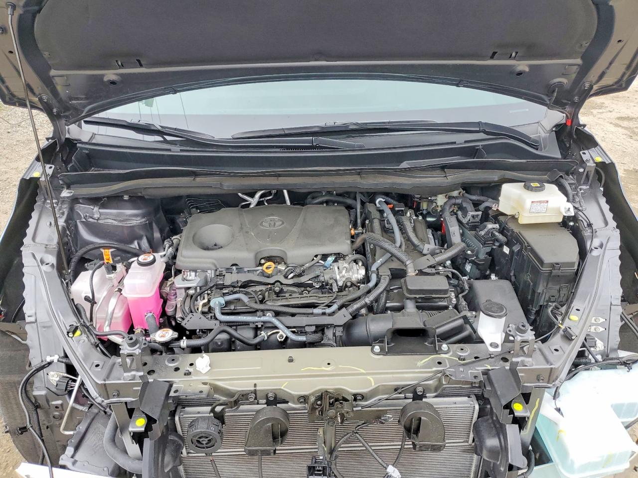 2025 TOYOTA SIENNA XLE 8-PASSENGER photo 31