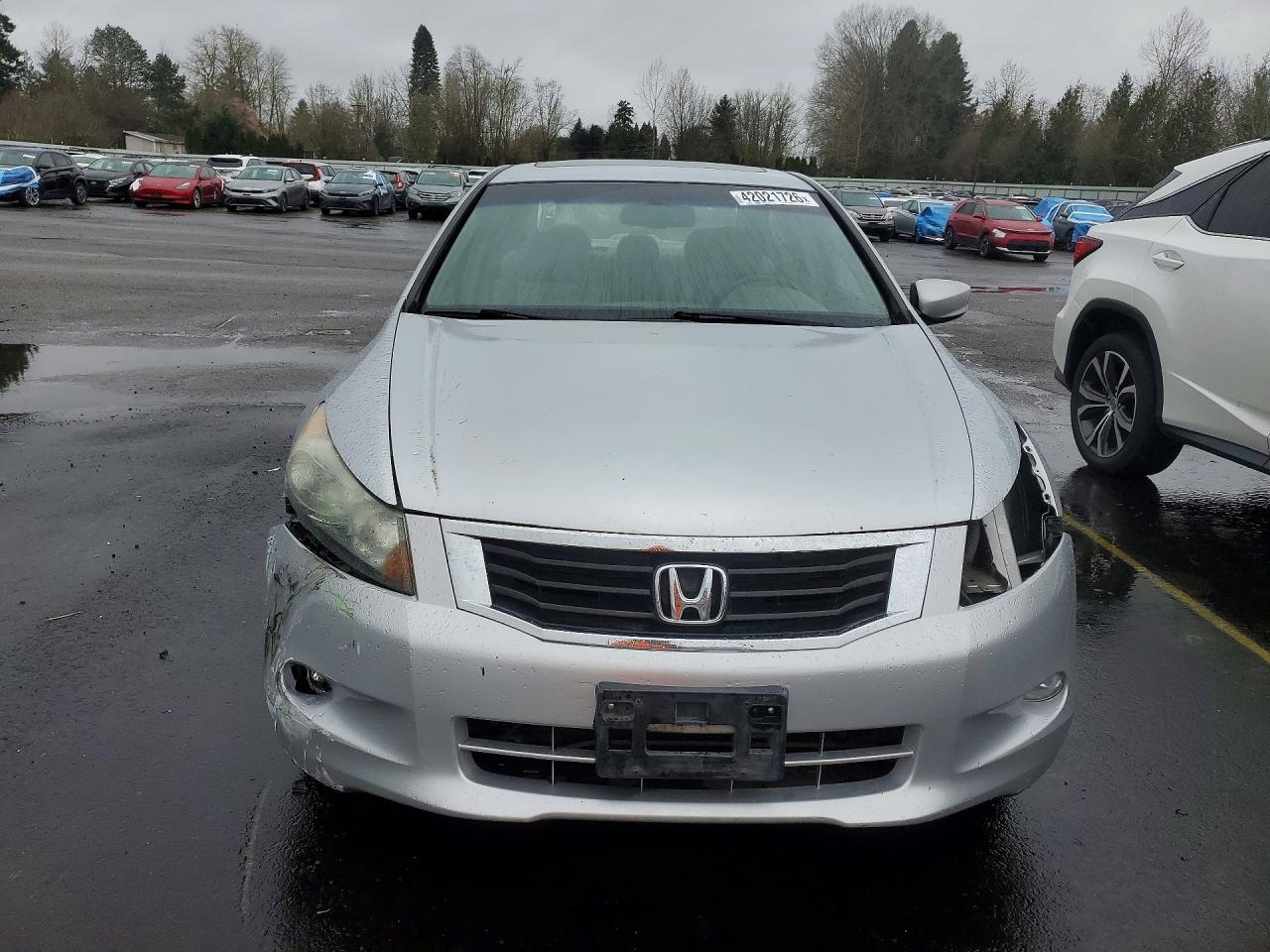 2008 HONDA ACCORD EXL photo 5