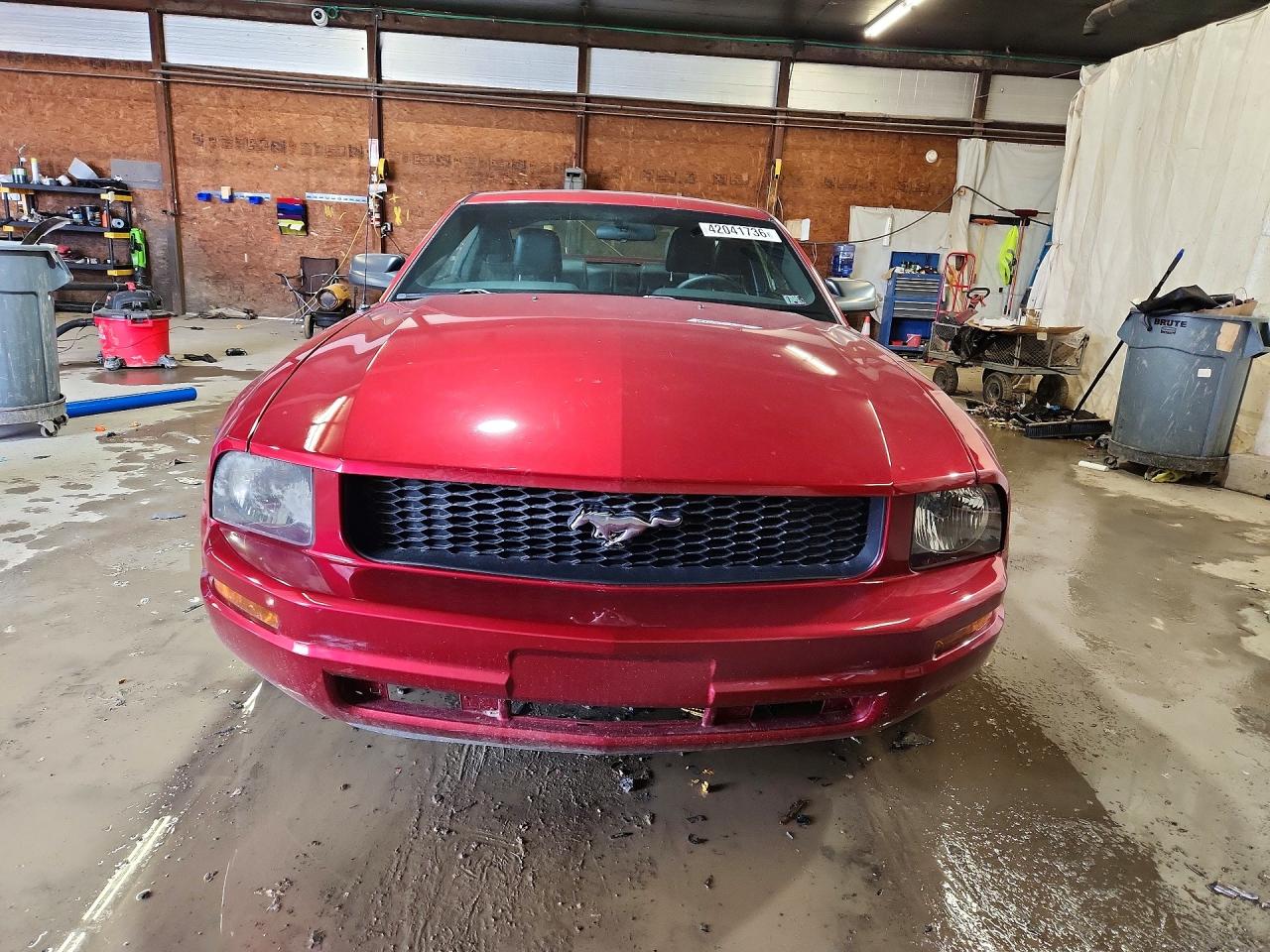 2005 FORD MUSTANG photo 5