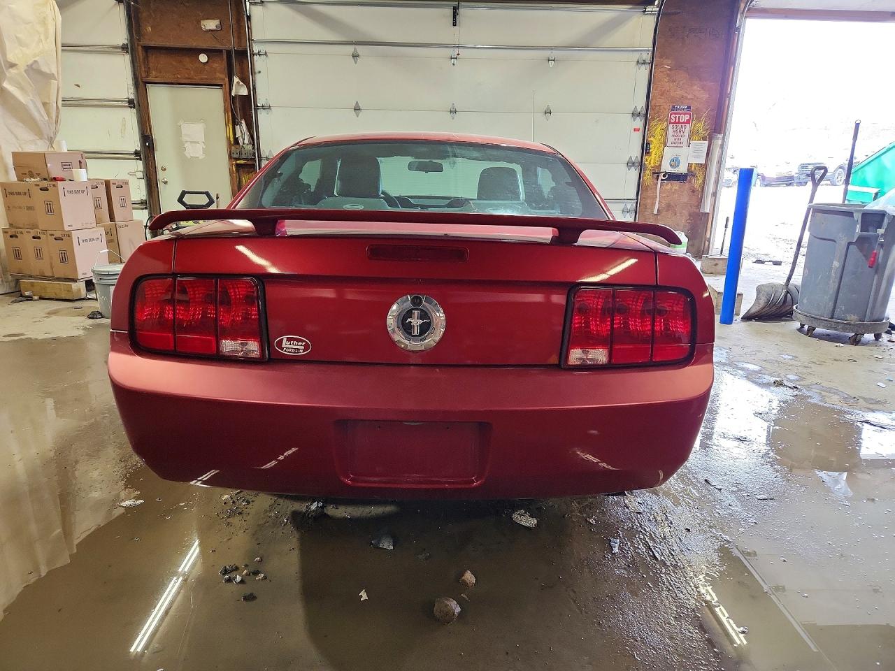 2005 FORD MUSTANG photo 6
