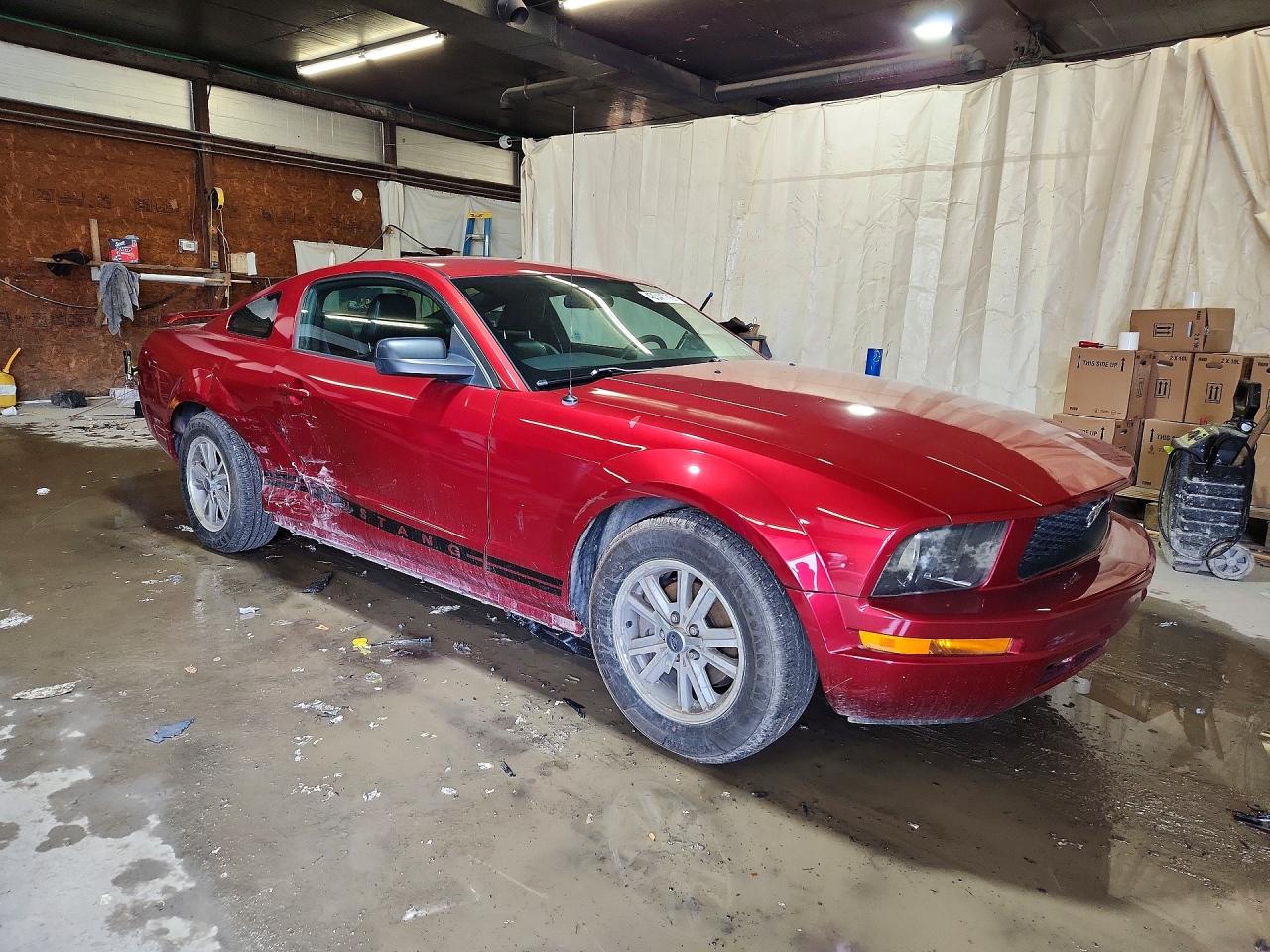 2005 FORD MUSTANG photo 4