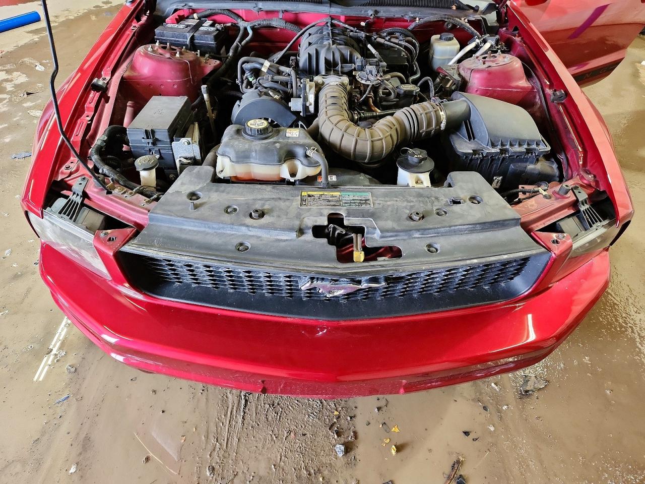 2005 FORD MUSTANG photo 11