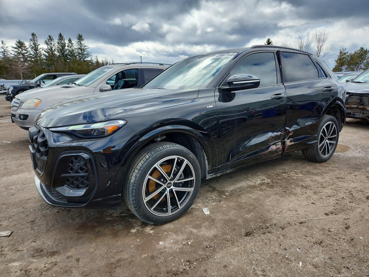 2025 AUDI Q5