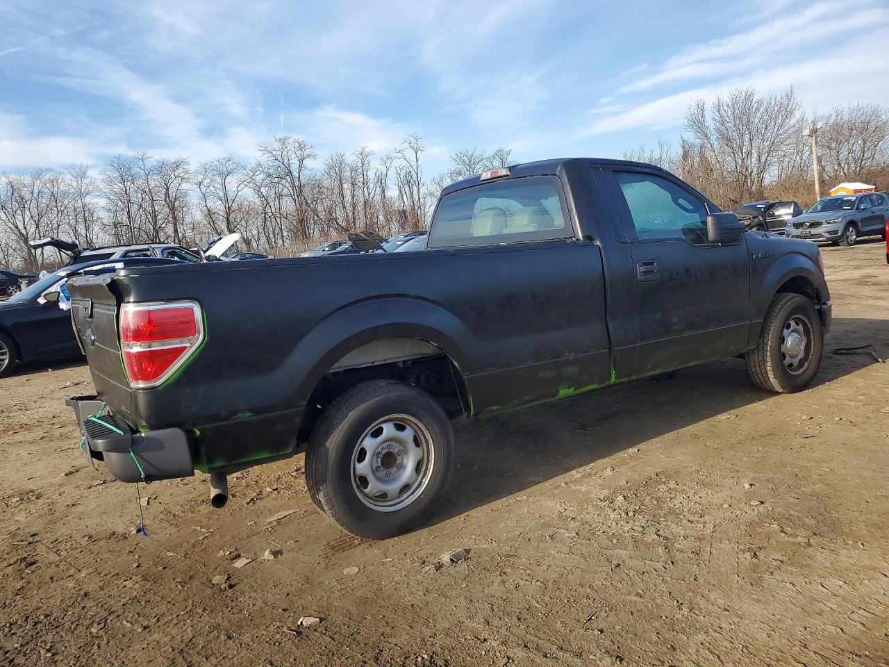 2014 FORD F150 photo 3