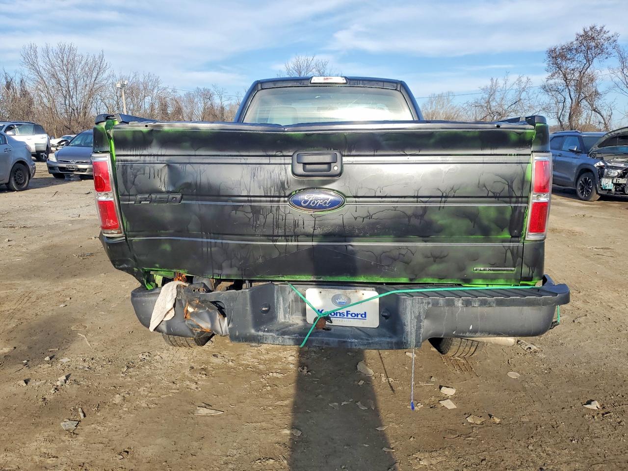 2014 FORD F150 photo 6