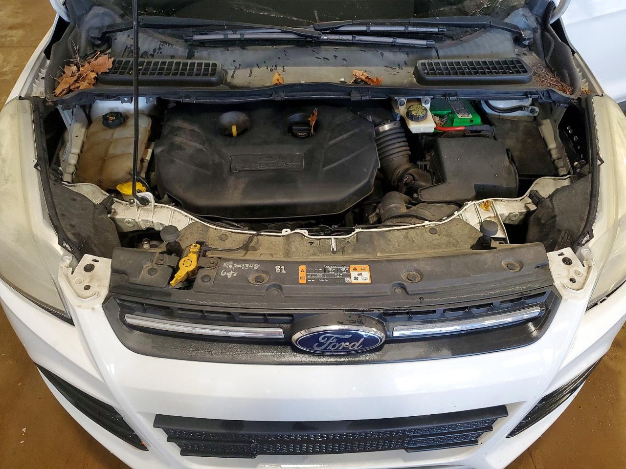 2014 FORD ESCAPE SE photo 12