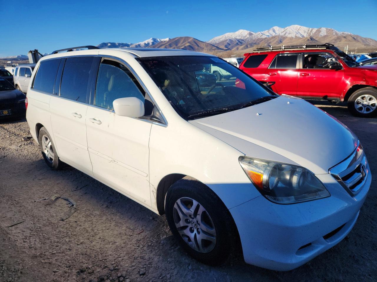 2005 HONDA ODYSSEY EXL photo 4