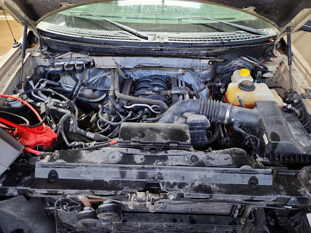 2014 FORD F150 photo 31