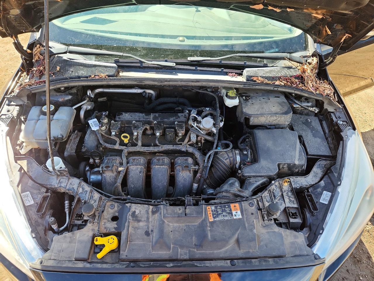 2017 FORD FOCUS SE photo 11