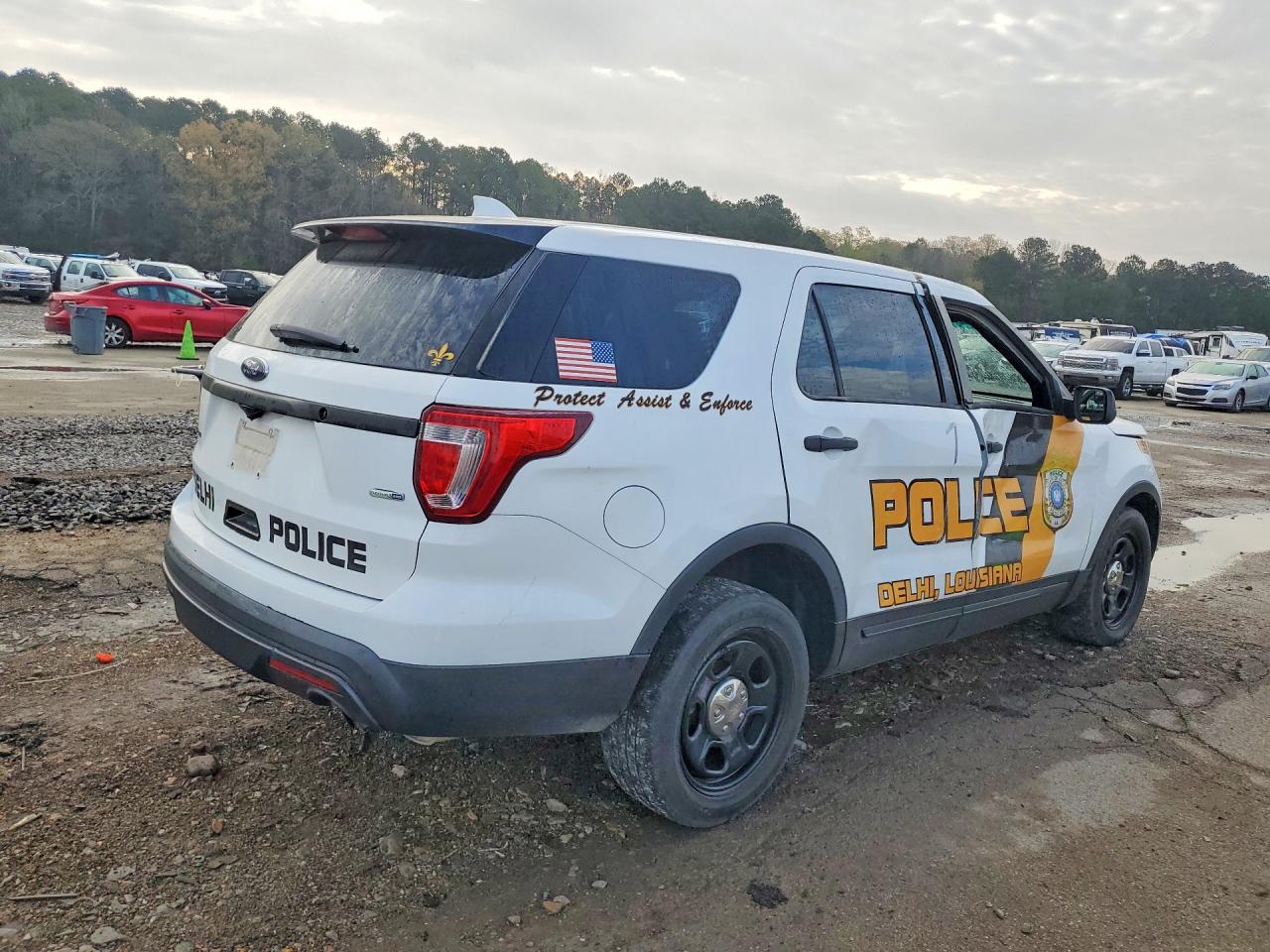2017 FORD EXPLORER POLICE INTERCEPTOR photo 5