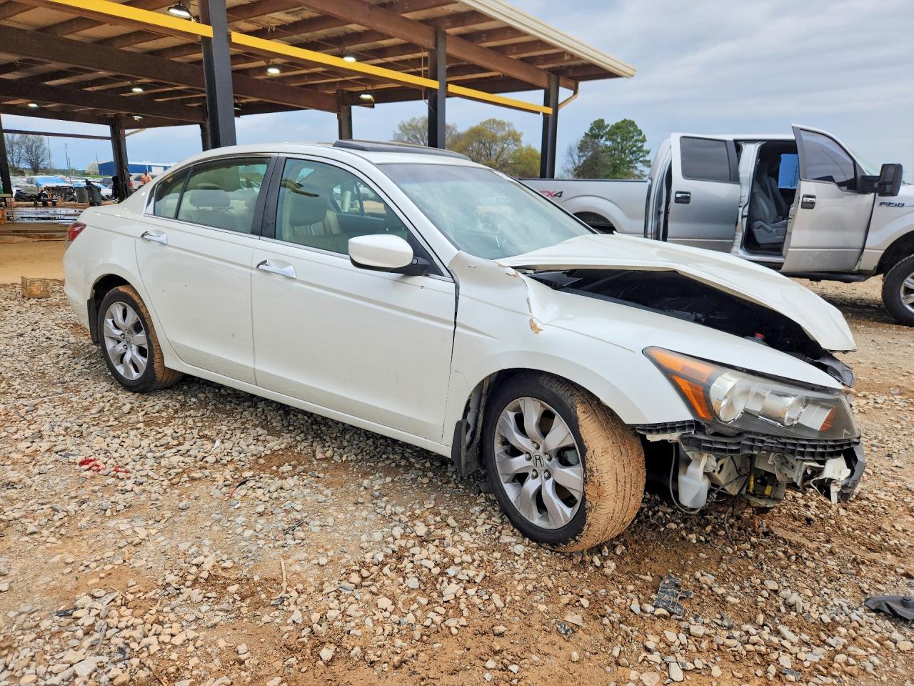 2009 HONDA ACCORD EXL photo 4