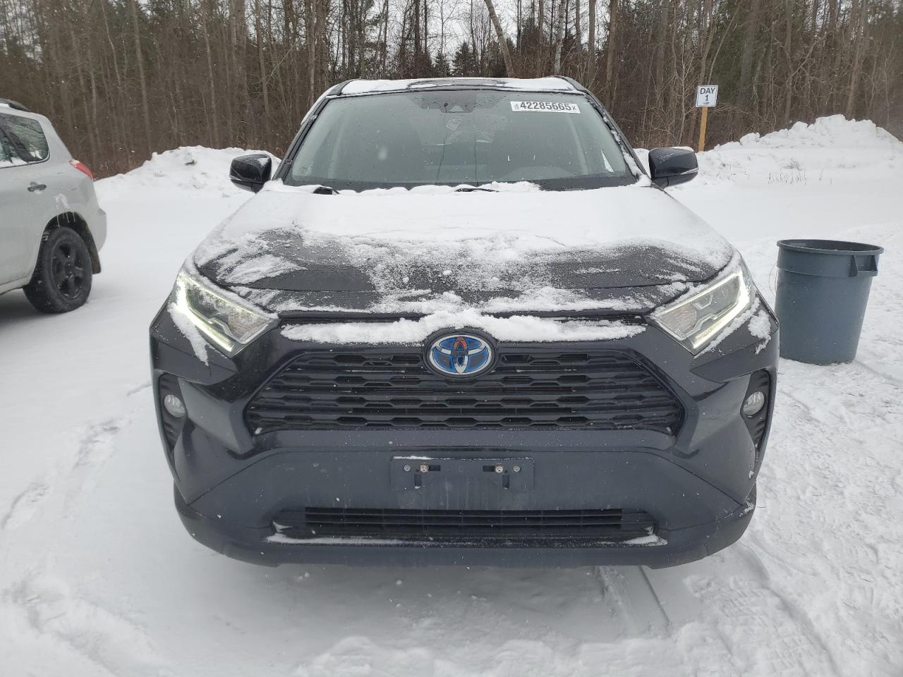 2021 TOYOTA RAV4 XLE photo 13