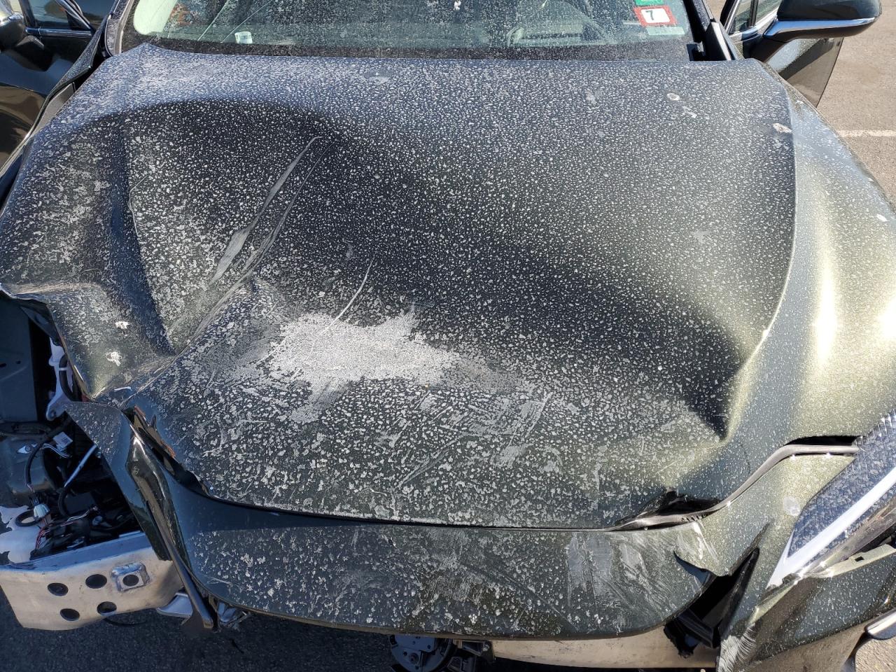 2024 LEXUS NX 350H BASE photo 23