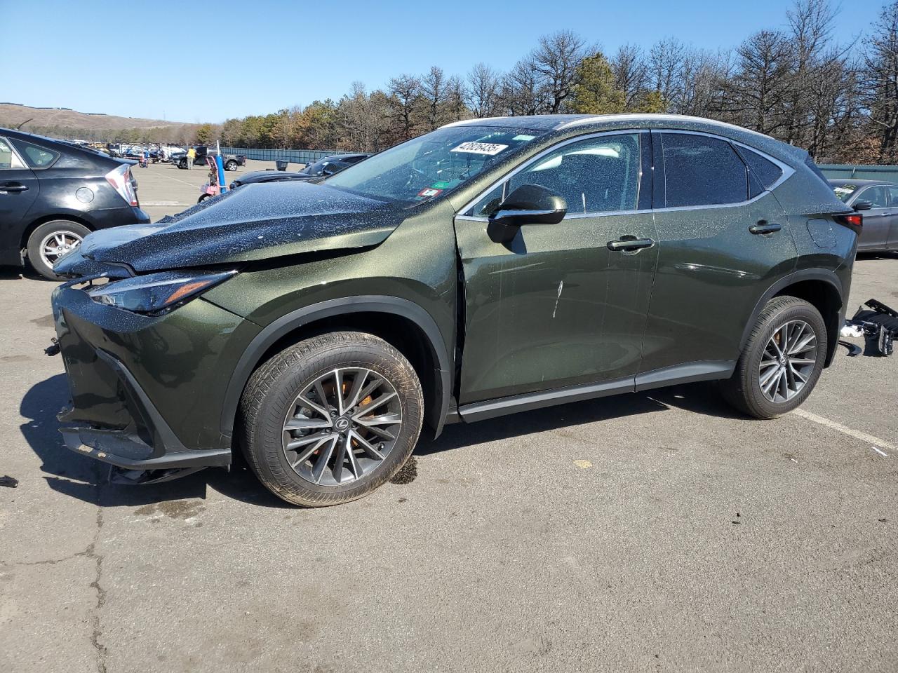 2024 LEXUS NX