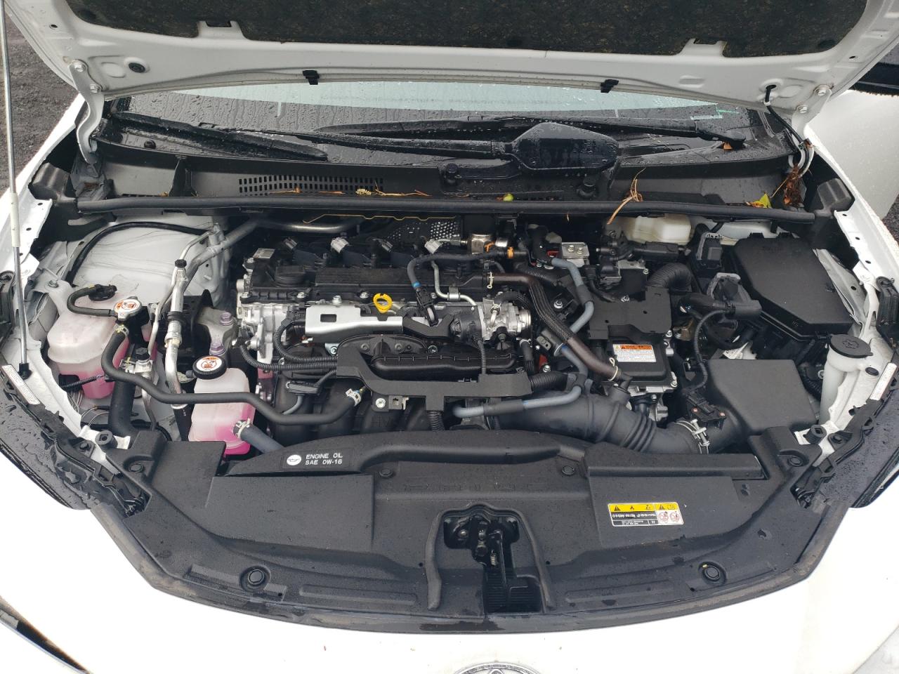 2024 TOYOTA PRIUS LE photo 11