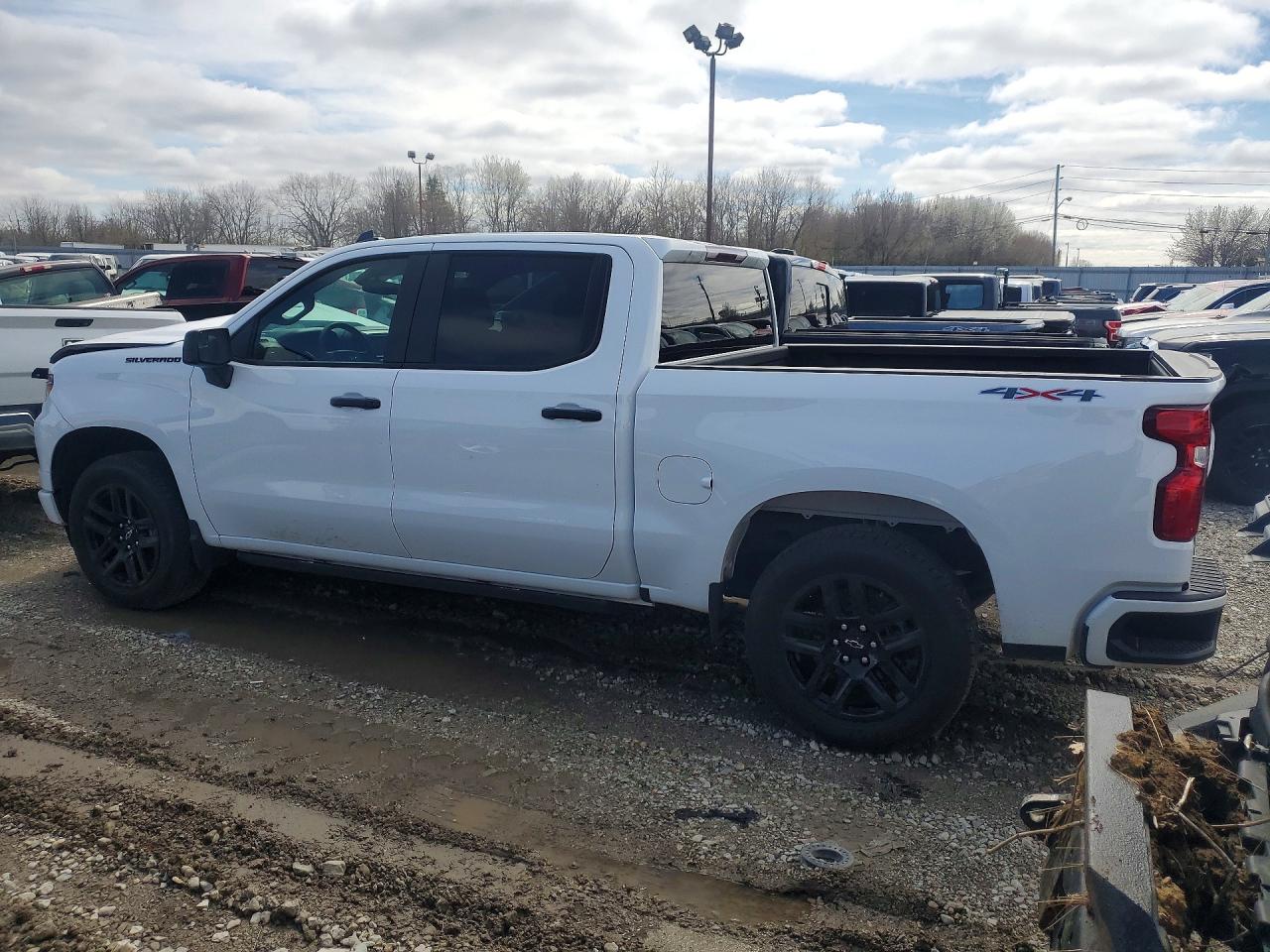 2024 CHEVROLET SILVERADO K1500 CUSTOM photo 5