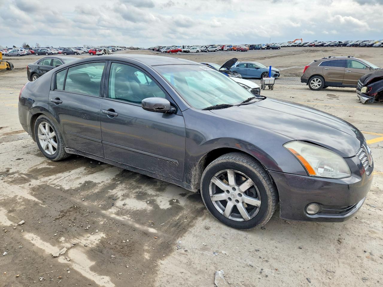 2006 NISSAN MAXIMA 3.5 SE photo 4