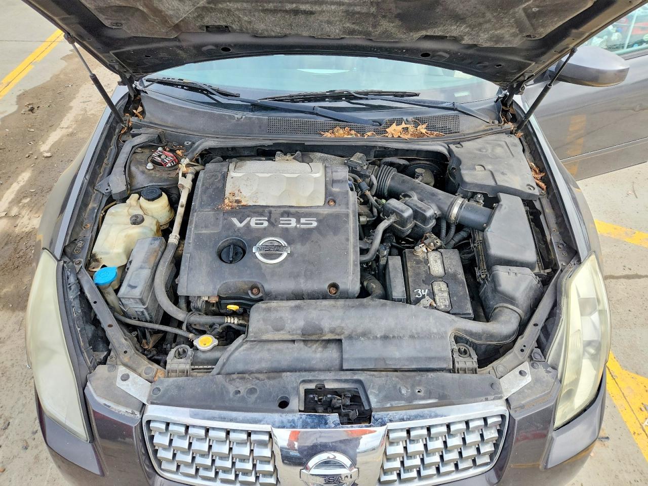 2006 NISSAN MAXIMA 3.5 SE photo 11