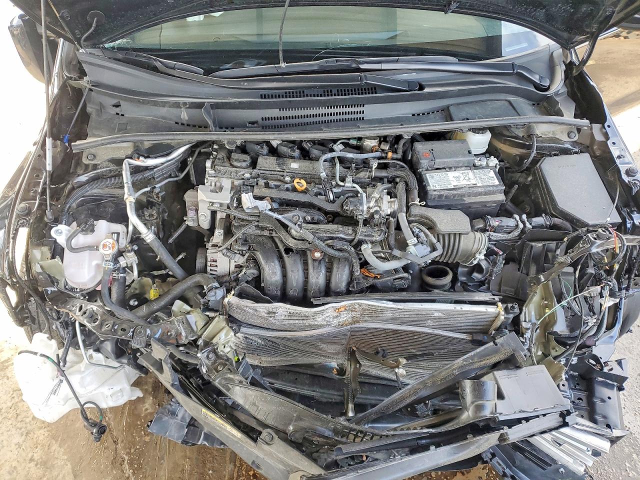 2025 TOYOTA COROLLA LE photo 11