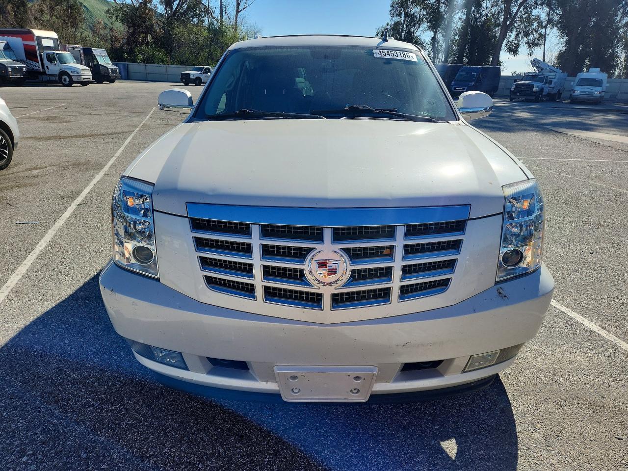 2012 CADILLAC ESCALADE LUXURY photo 13